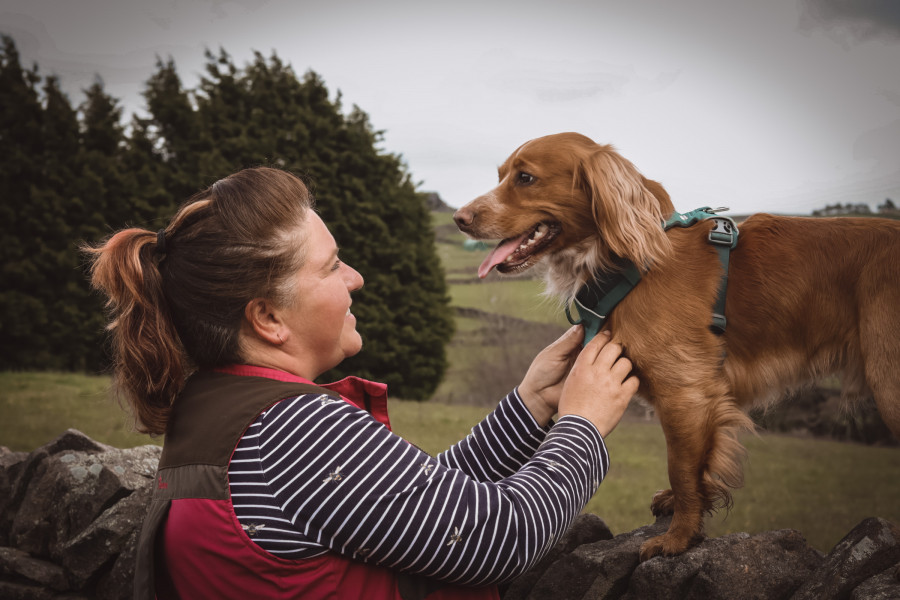 One s shops one dog training