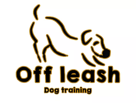 Off Leash Dog Training